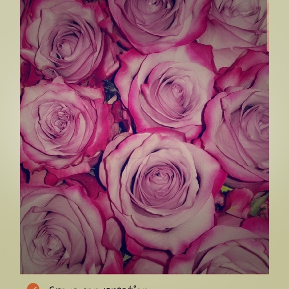 Meet your Posher, Melissa - Picture 1 of 1